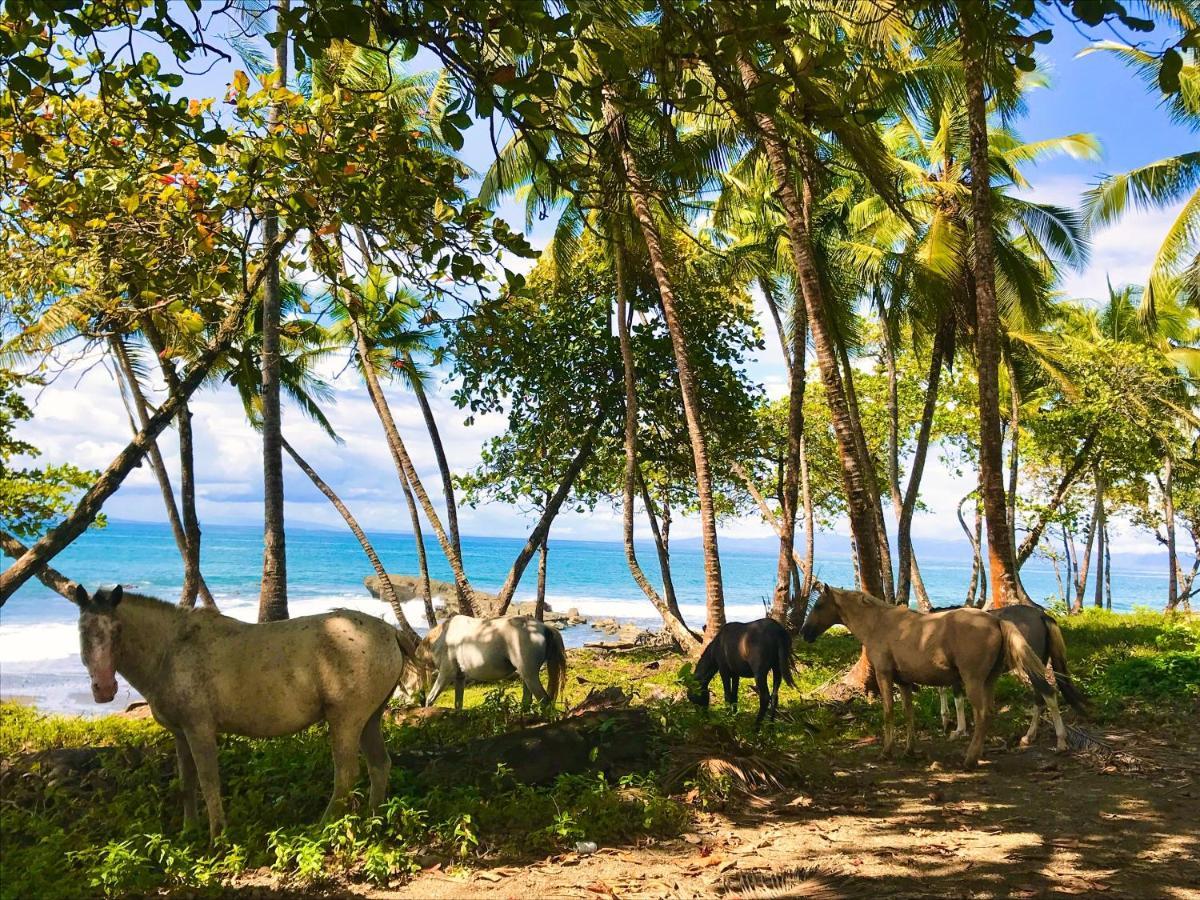 Brahman Bungalows On Pavones Point Dış mekan fotoğraf